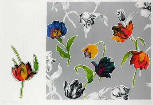 Cut tulips