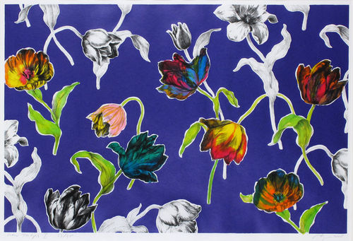 New tulips II