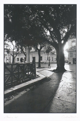 San Martin