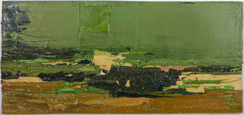 Swamp