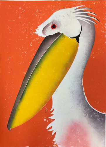 Pelikaan