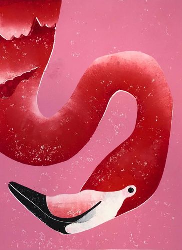 Flamingo II