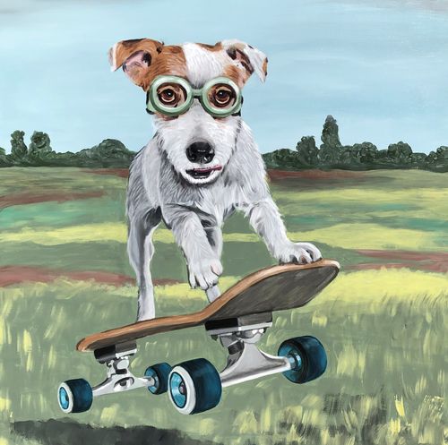 Skatehond