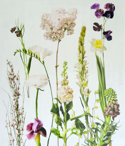 Flowers 008