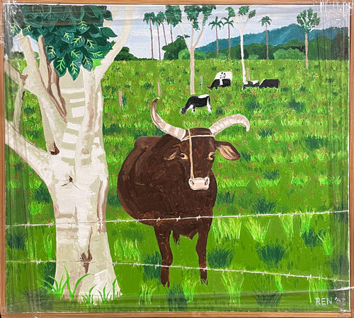 Koe Cuba