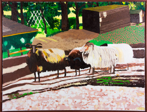 Schapen (Schuur)